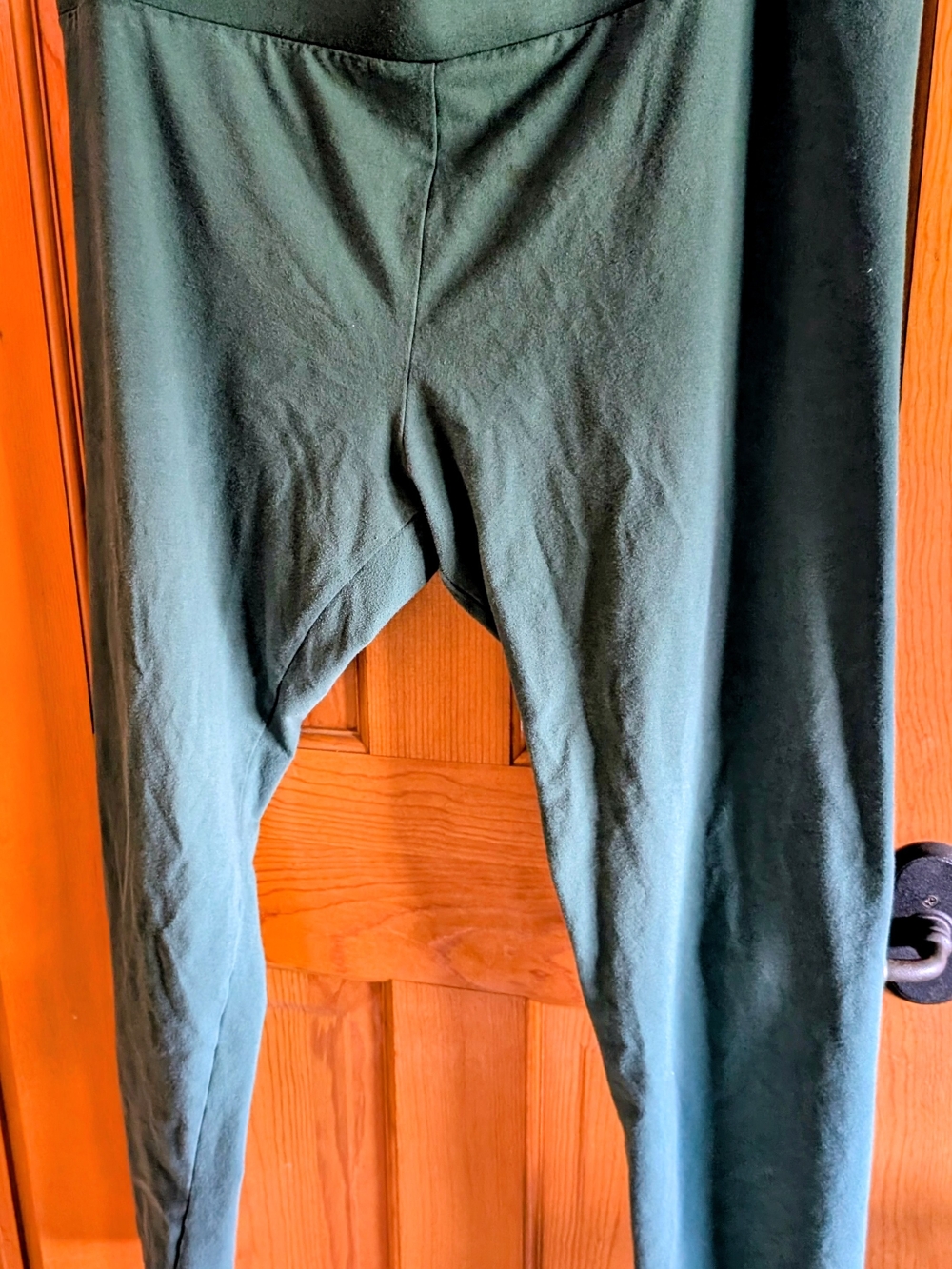 Women's Stretch Leggings in Forest Green